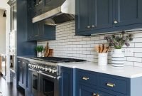 Blue Kitchen Cabinets Ideas