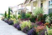 Front Yard Landscaping Plants