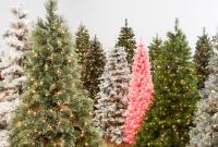 Lowes Live Christmas Trees