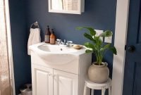 Blue Bathroom Paint Colors