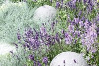 Small Lavender Garden Ideas