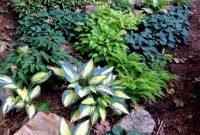 Shaded Rock Garden Ideas