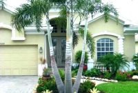Palm Tree Front Yard