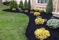 Low Maintenance Front Yard