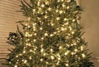 Christmas Tree Bucket Skirt
