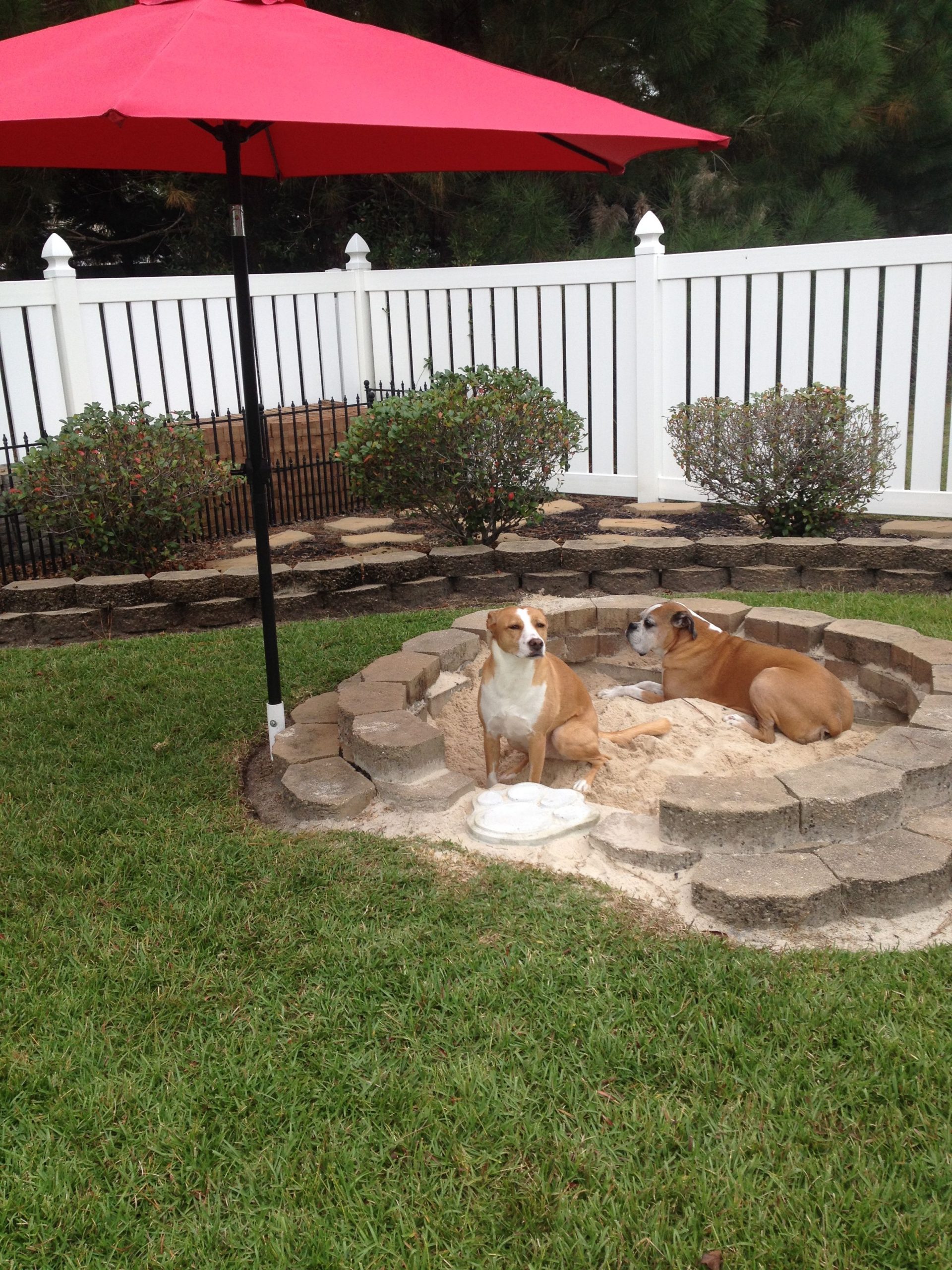 20 Backyard Ideas For Dogs Magzhouse